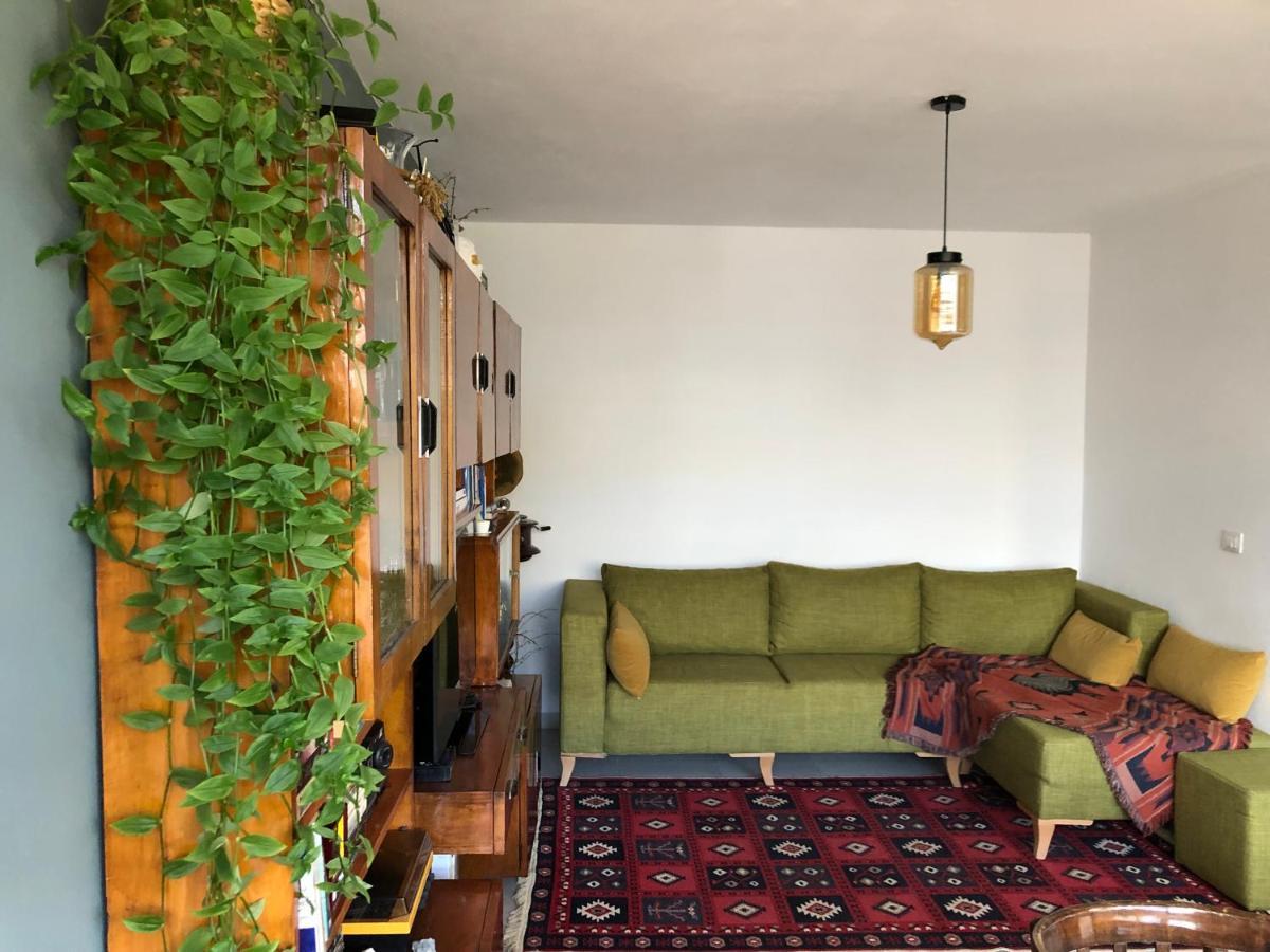 Midcentury Modern 1 Bedroom In